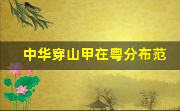 中华穿山甲在粤分布范围扩大 种群数量稳步回升(中华穿山甲