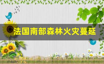 法国南部森林火灾蔓延 已烧毁超700公顷林地(法国南部森林火